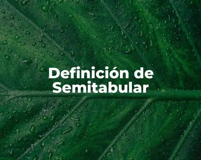 Definición de Semitabular