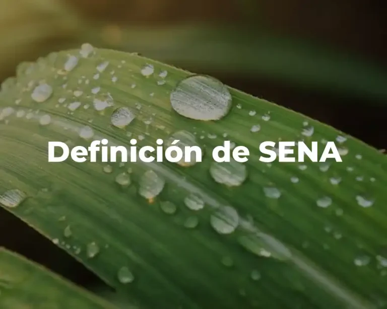 Definición de SENA
