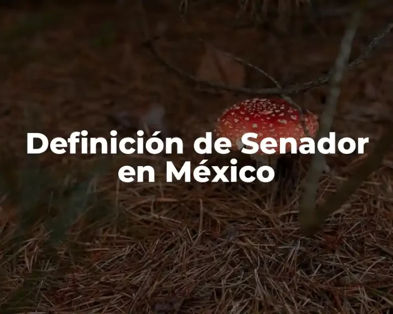 Definición de Senador en México
