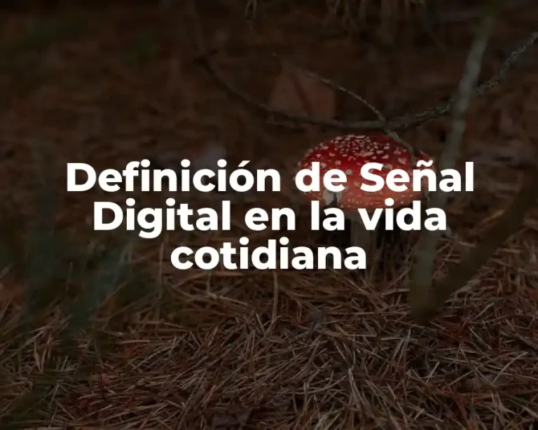 Definición de Señal Digital en la vida cotidiana