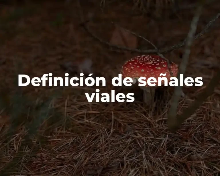 Definición de señales viales