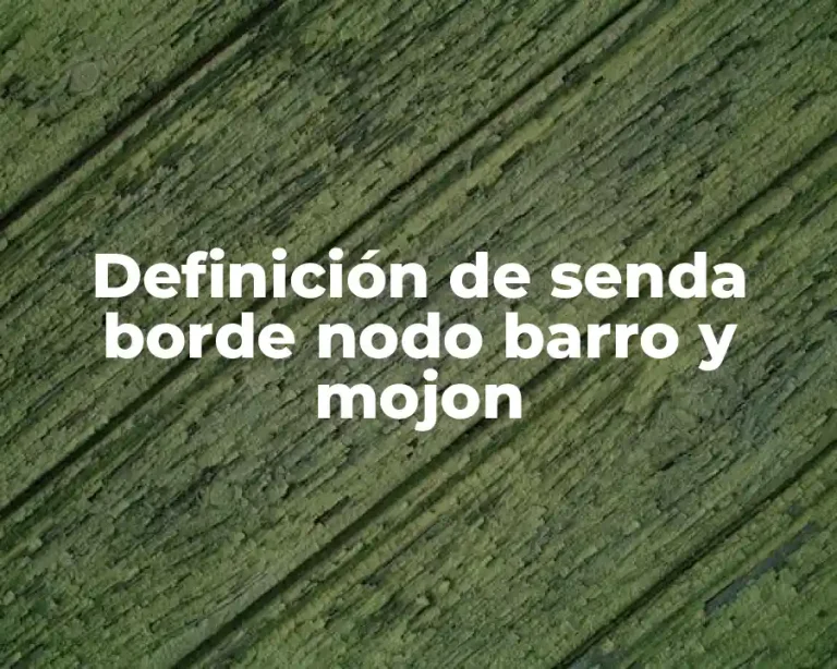 Definición de senda borde nodo barro y mojon