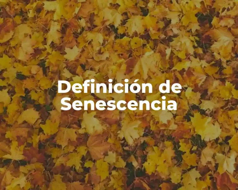 Definición de Senescencia