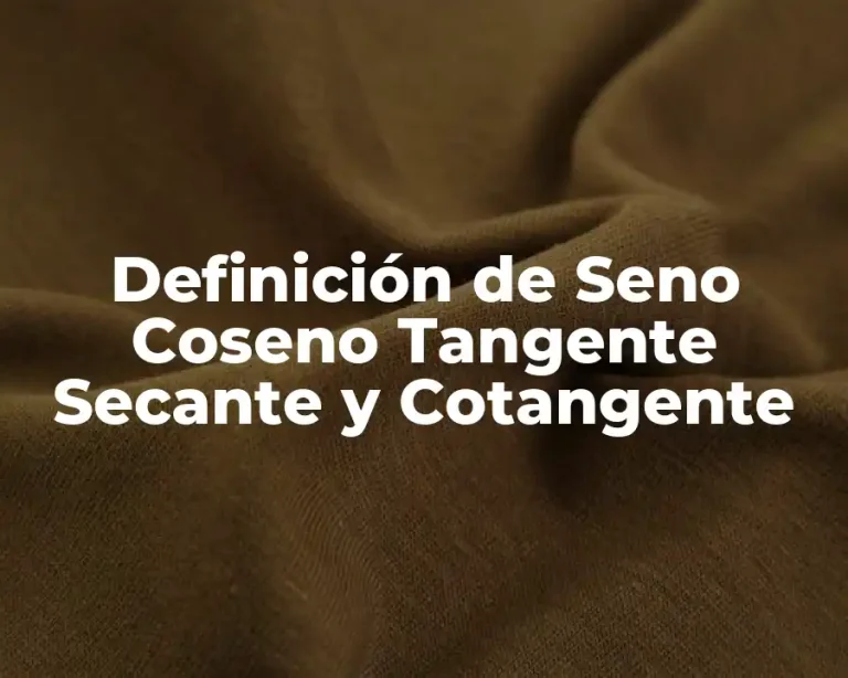 Definición de Seno Coseno Tangente Secante y Cotangente