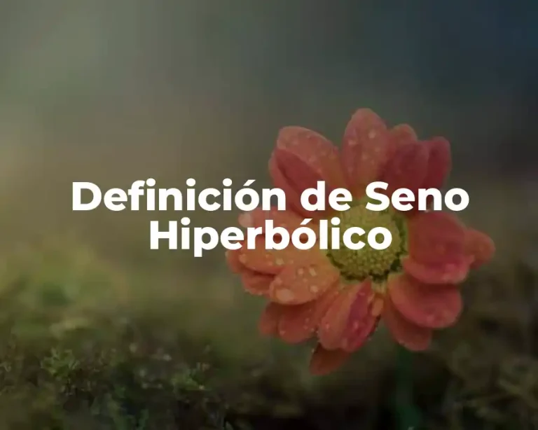 Definición de Seno Hiperbólico