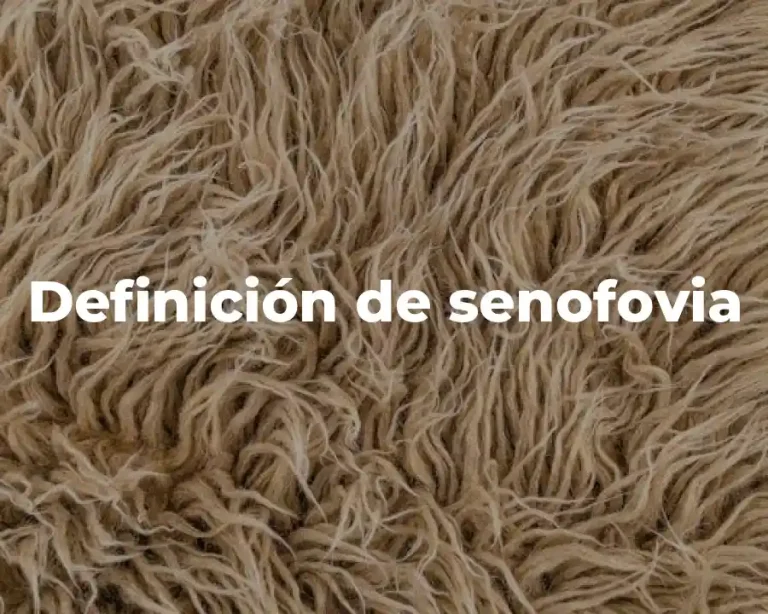 Definición de senofovia