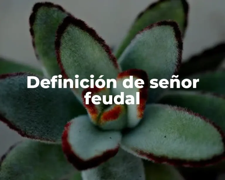Definición de señor feudal