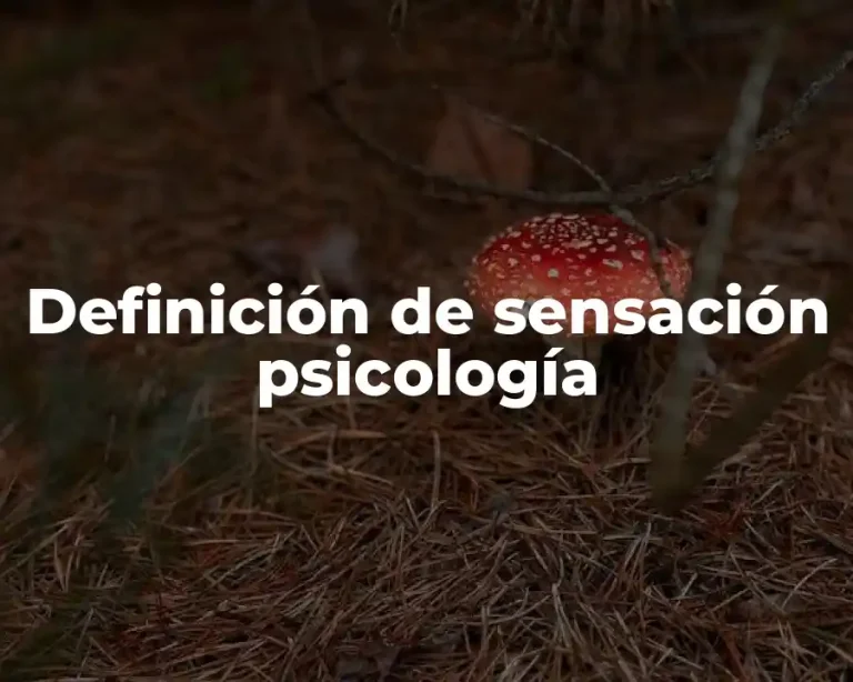 Definición de sensación psicología