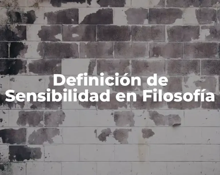Definición de Sensibilidad en Filosofía