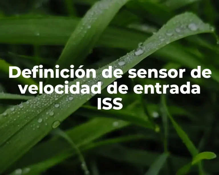 Definición de sensor de velocidad de entrada ISS