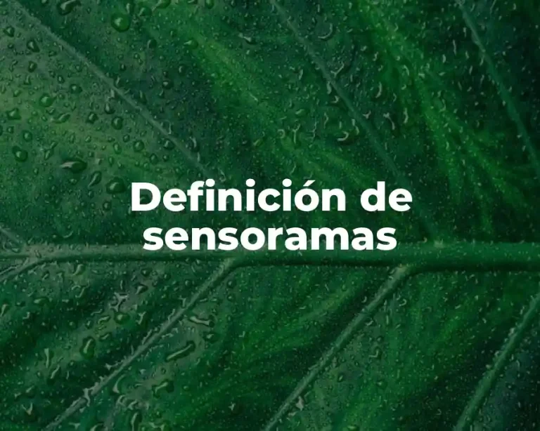 Definición de sensoramas