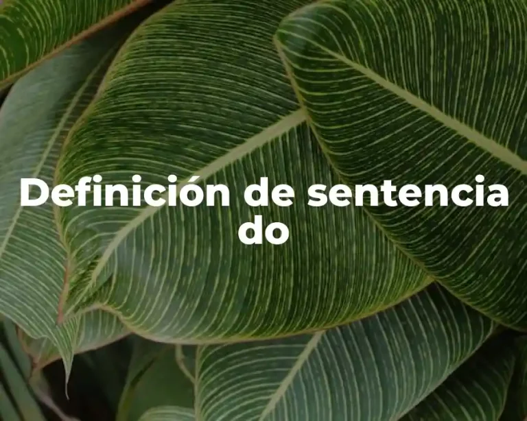 Definición de sentencia do