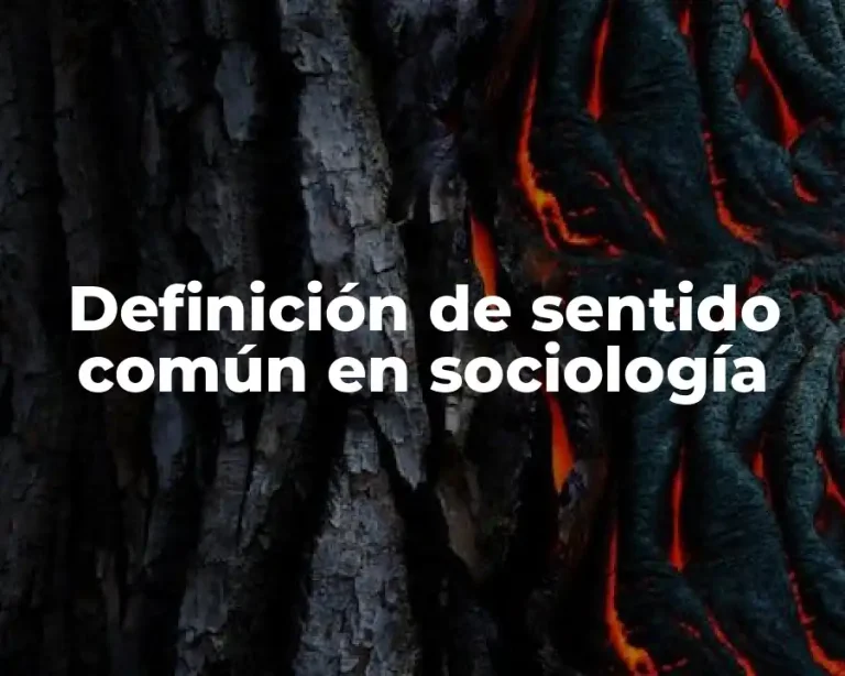 Definición de sentido común en sociología