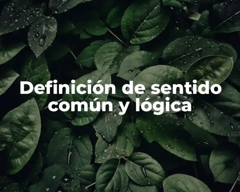 Definición de sentido común y lógica
