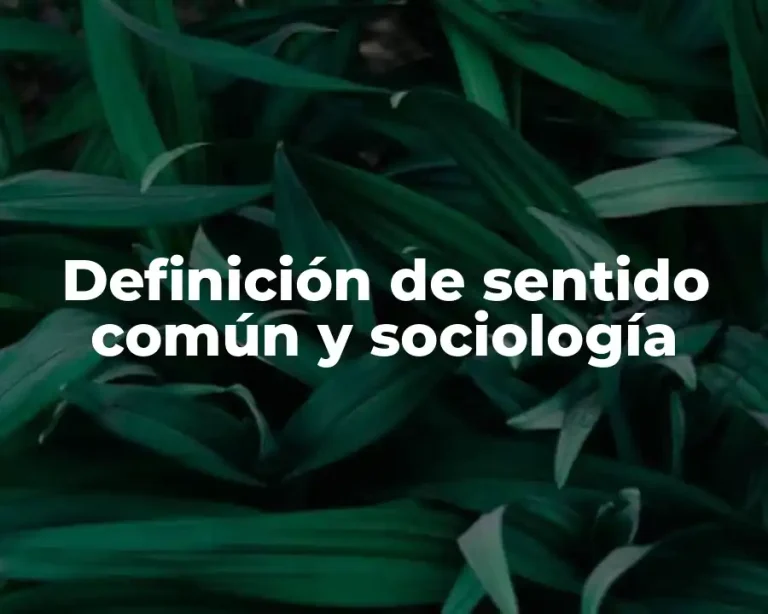 Definición de sentido común y sociología