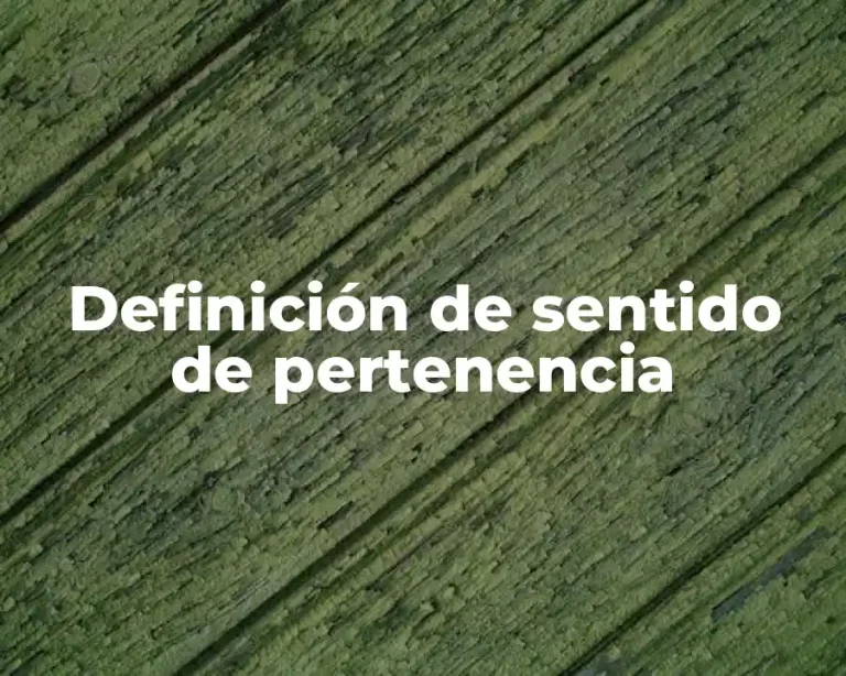 Definición de sentido de pertenencia