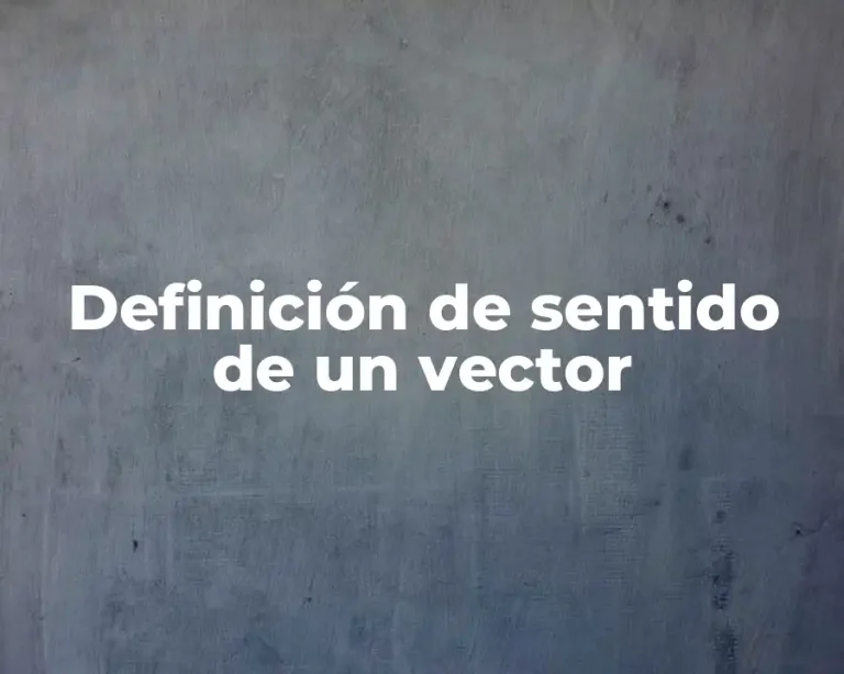 Definición de sentido de un vector