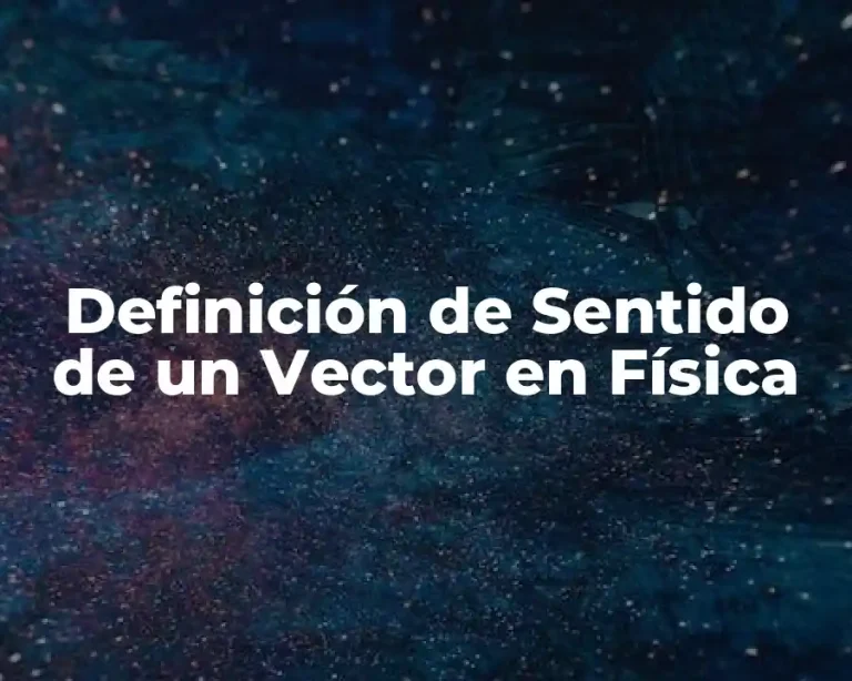 Definición de Sentido de un Vector en Física