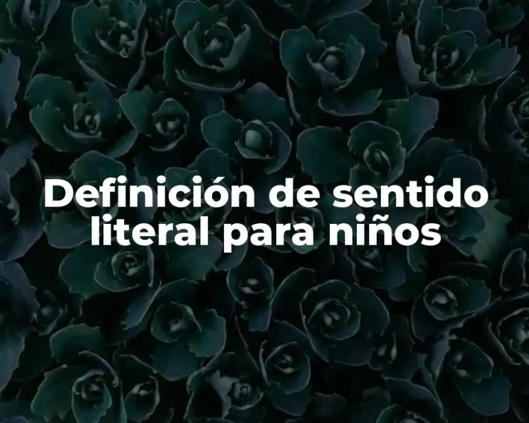 Definición de sentido literal para niños