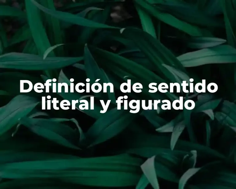 Definición de sentido literal y figurado