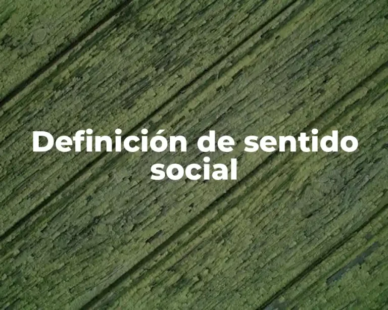 Definición de sentido social