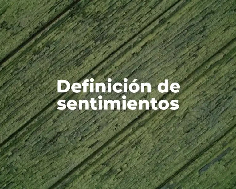 Definición de sentimientos
