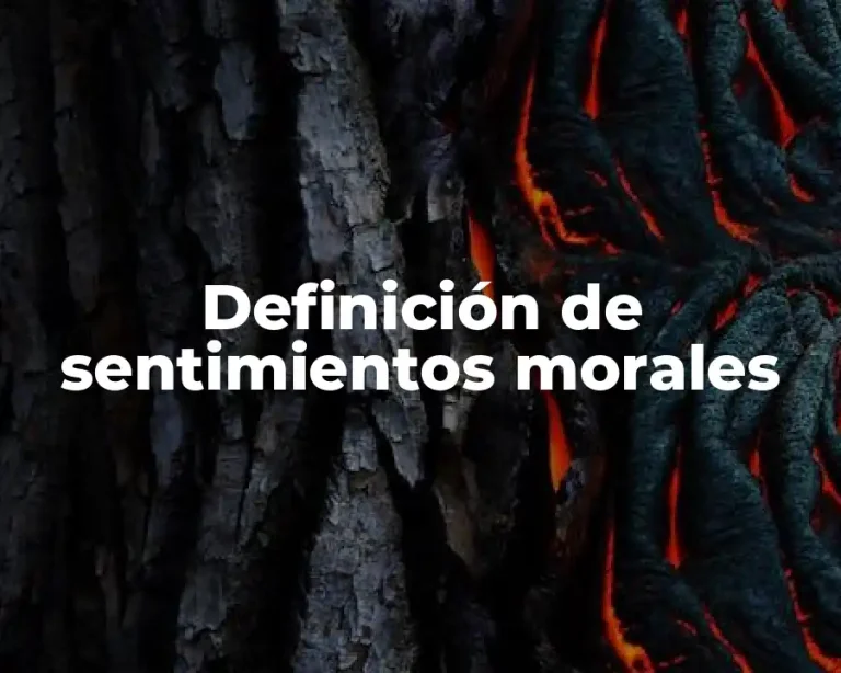 Definición de sentimientos morales
