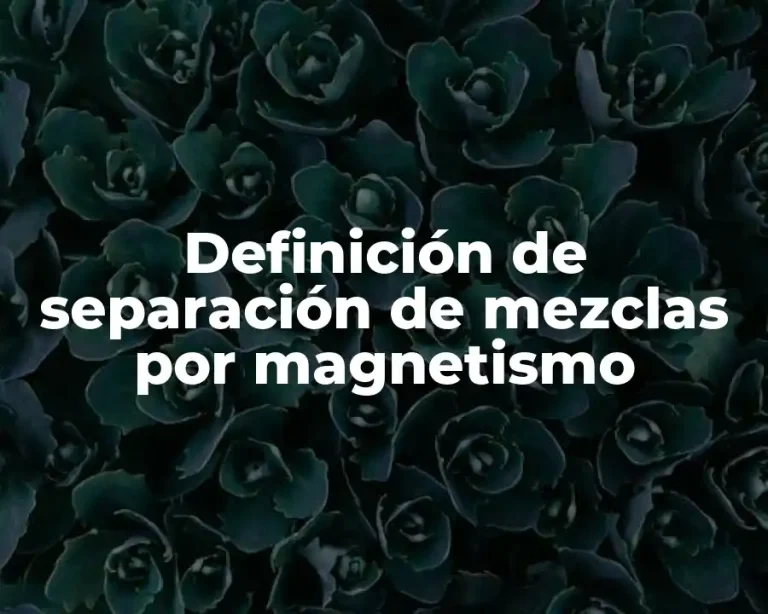 Definición de separación de mezclas por magnetismo