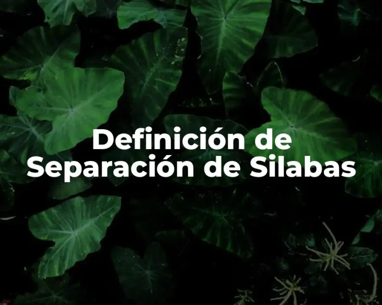 Definición de Separación de Silabas