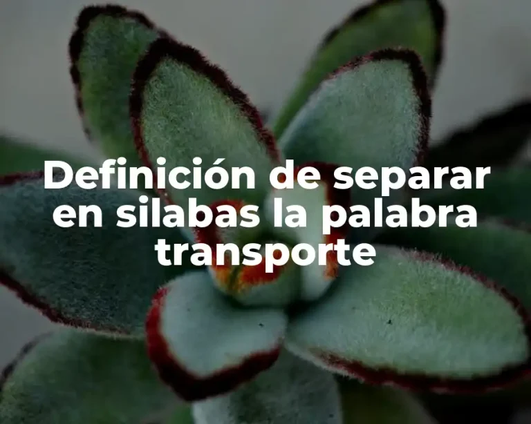 Definición de separar en silabas la palabra transporte