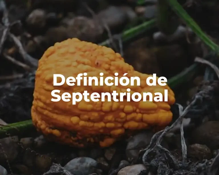 Definición de Septentrional