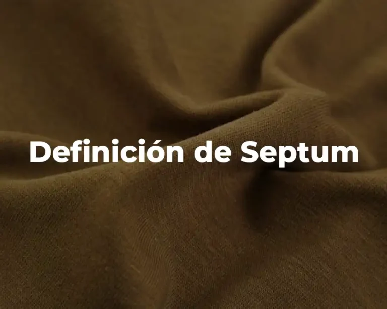 Definición de Septum