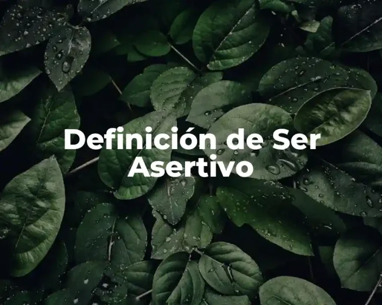 Definición de Ser Asertivo