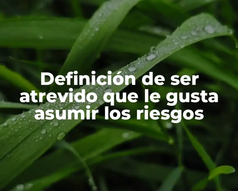 Definición de ser atrevido que le gusta asumir los riesgos