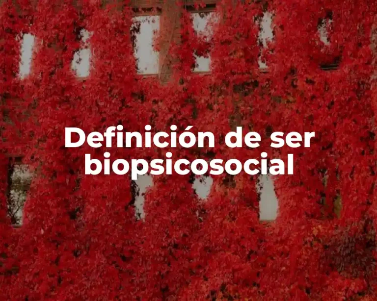 Definición de ser biopsicosocial