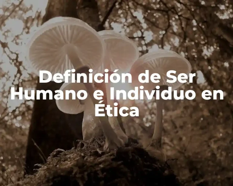 Definición de Ser Humano e Individuo en Ética