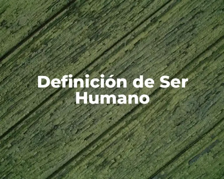 Definición de Ser Humano