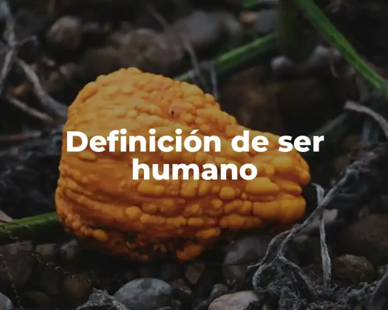 Definición de ser humano