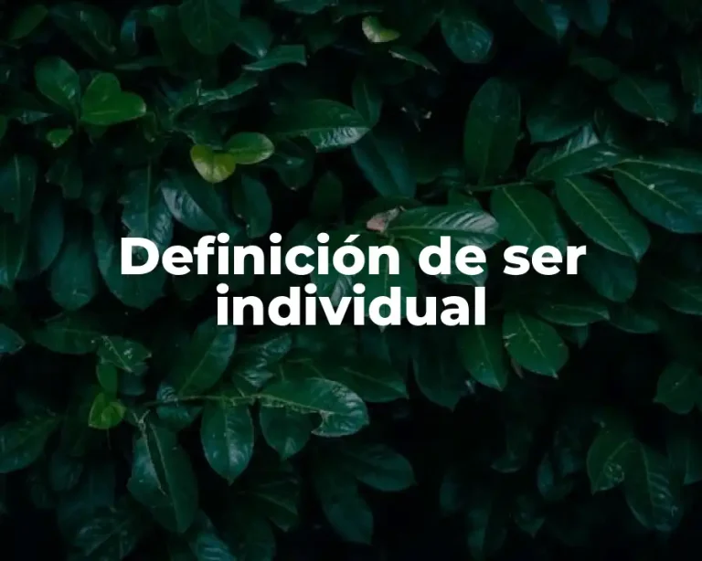 Definición de ser individual