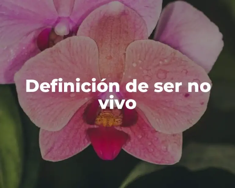 Definición de ser no vivo
