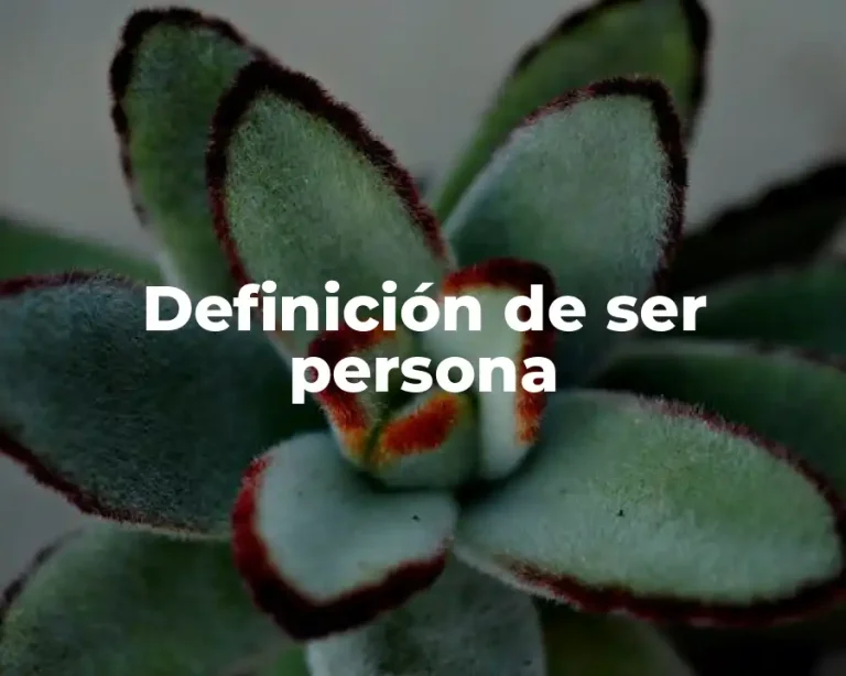 Definición de ser persona
