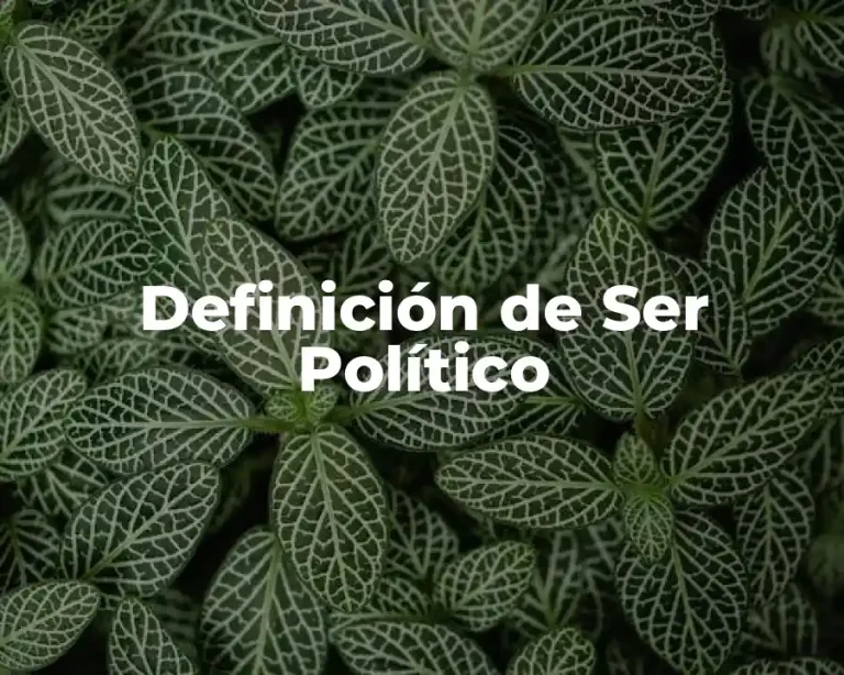 Definición de Ser Político