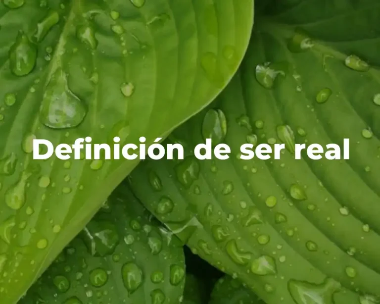 Definición de ser real