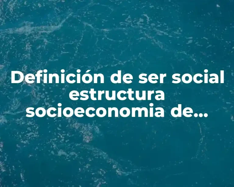 Definición de ser social estructura socioeconomia de México