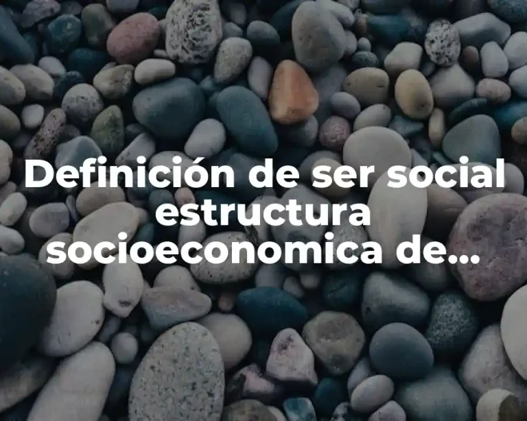 Definición de ser social estructura socioeconomica de México