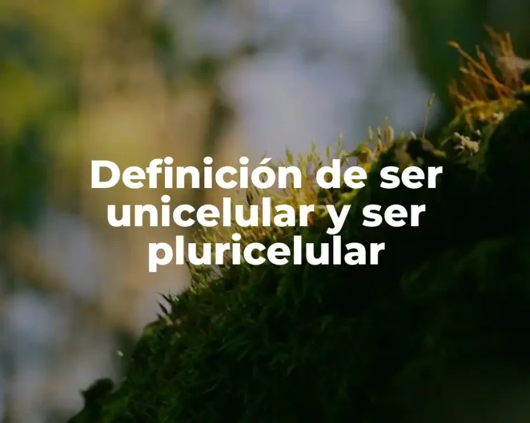 Definición de ser unicelular y ser pluricelular