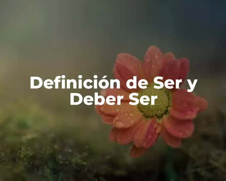 Definición de Ser y Deber Ser