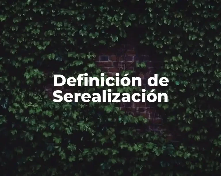Definición de Serealización