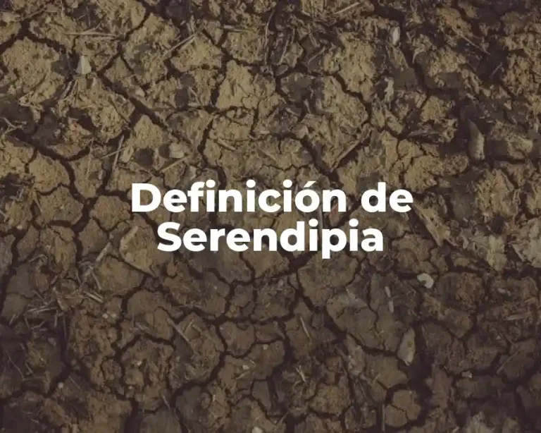 Definición de Serendipia