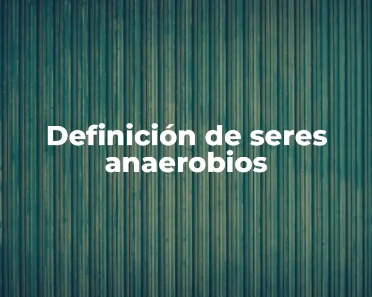 Definición de seres anaerobios